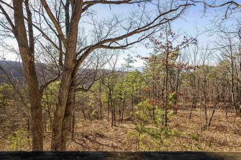 755 Wildwood Lane Shenandoah VA 22849