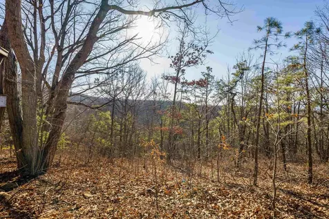 755 Wildwood Lane Shenandoah VA 22849