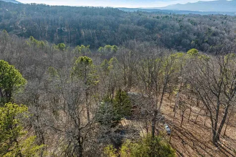 755 Wildwood Lane Shenandoah VA 22849