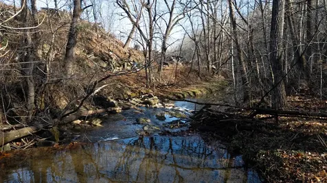 12.2 Acres Turleytown Road Broadway VA 22815
