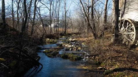 12.2 Acres Turleytown Road Broadway VA 22815