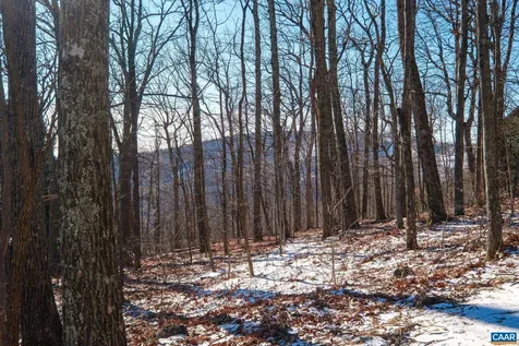 211 Chestnut Place Wintergreen Resort VA 22967