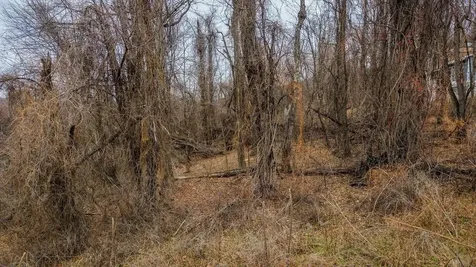 0 Short Cut Road Stanley VA 22851