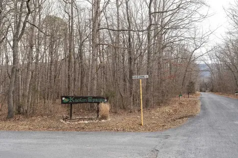 Tbd Kaolin Spring Lane Greenville VA 24440