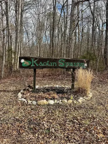 Tbd Kaolin Spring Lane Greenville VA 24440