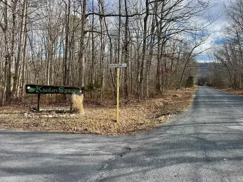 Tbd Kaolin Spring Lane Greenville VA 24440