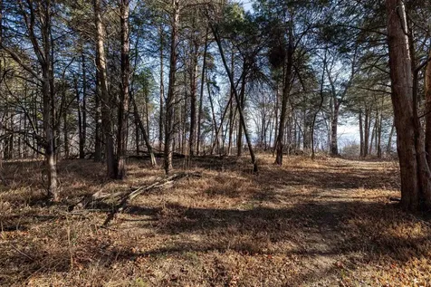Lot 8 Promise Lane Stanley VA 22851