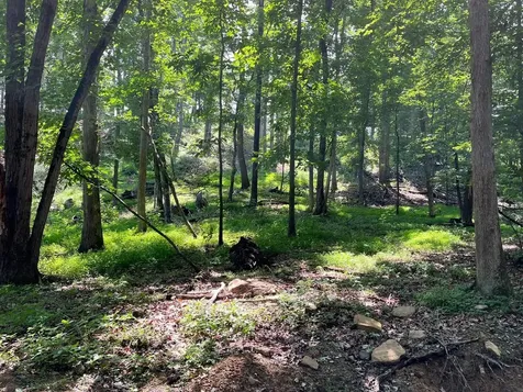 12 Galloway Spring Lane Shenandoah VA 22849