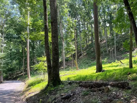 12 Galloway Spring Lane Shenandoah VA 22849