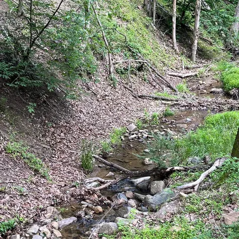 12 Galloway Spring Lane Shenandoah VA 22849