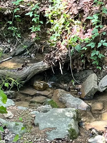 12 Galloway Spring Lane Shenandoah VA 22849