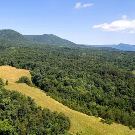 12 Galloway Spring Lane Shenandoah VA 22849