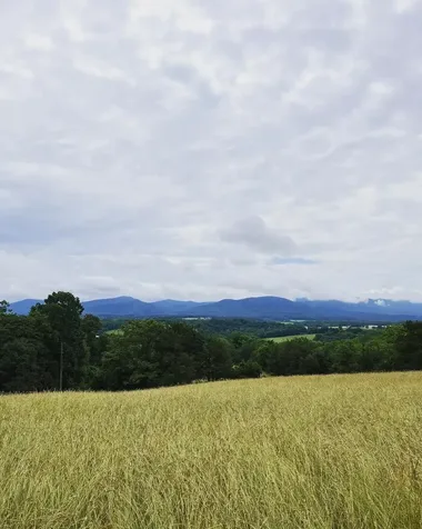 12 Galloway Spring Lane Shenandoah VA 22849