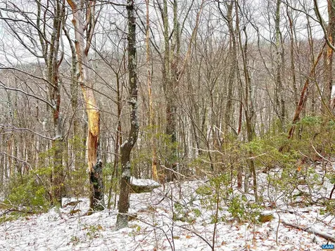 1843 Wintergreen Drive Wintergreen Resort VA 22967