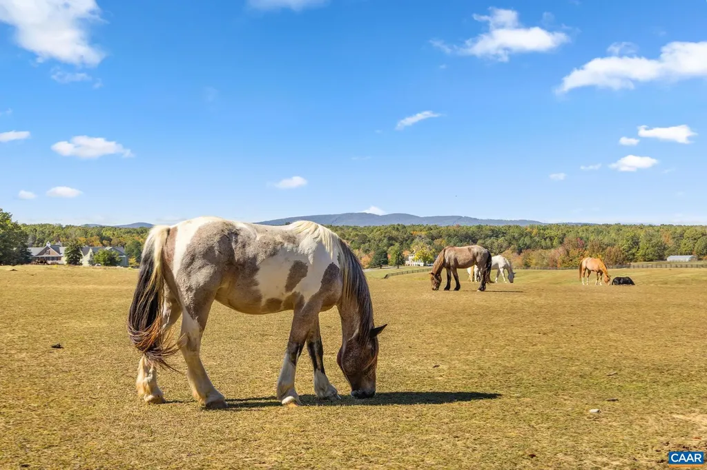 789 Pinehurst Drive Gordonsville VA 22942