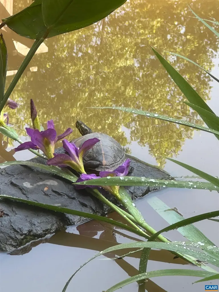 214 Toms Road Barboursville VA 22923