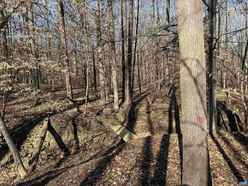 2019 Bybee Road Louisa VA 23093