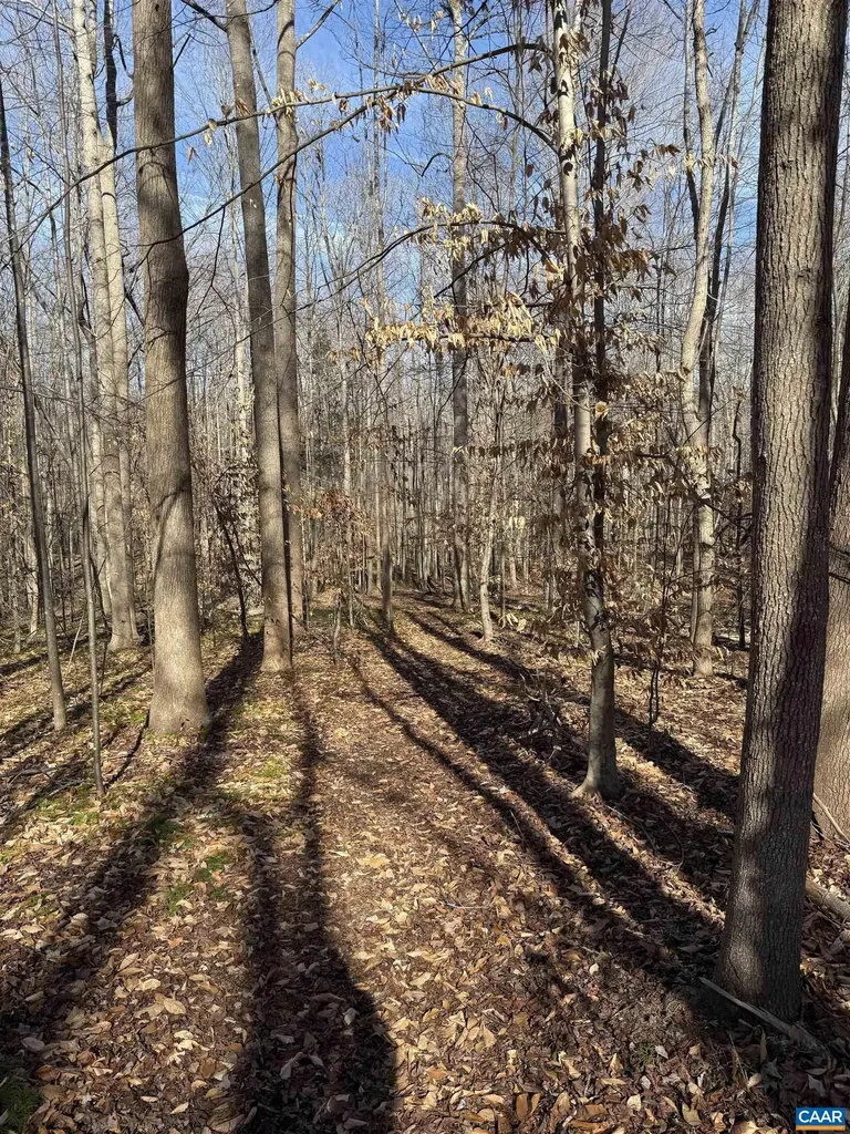 2019 Bybee Road Louisa VA 23093