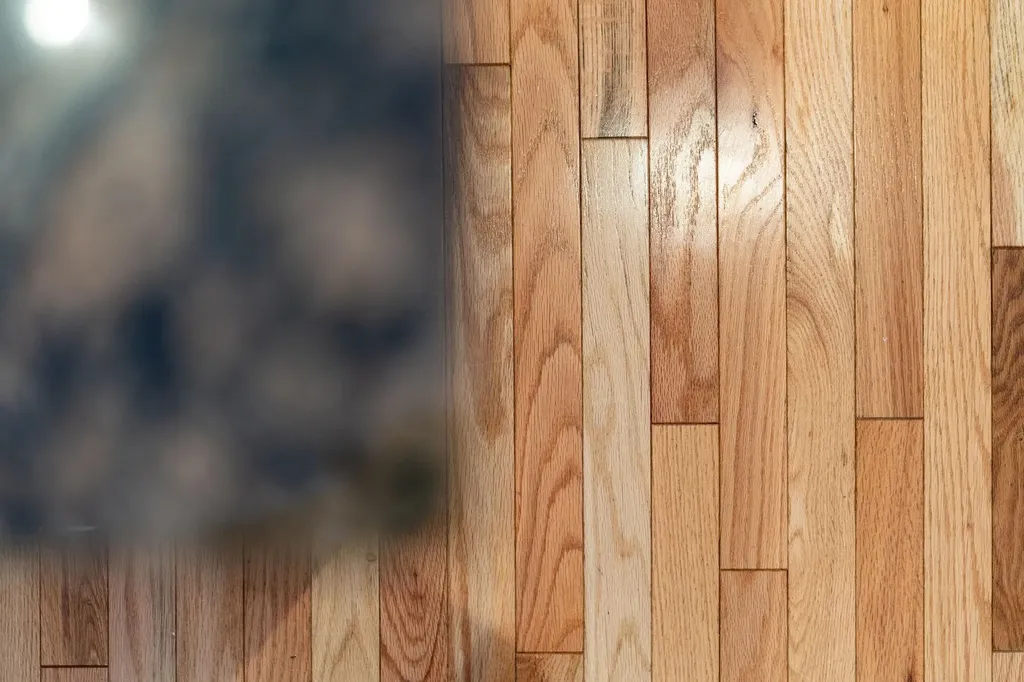 228 Windsor Drive Fishersville VA 22939