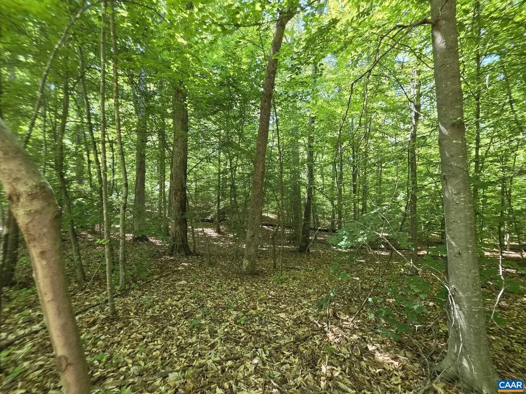2 Coquina Drive Barboursville VA 22923