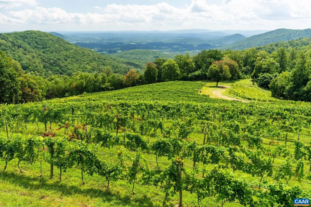 1376A Wyatt Mountain Road Dyke VA 22935