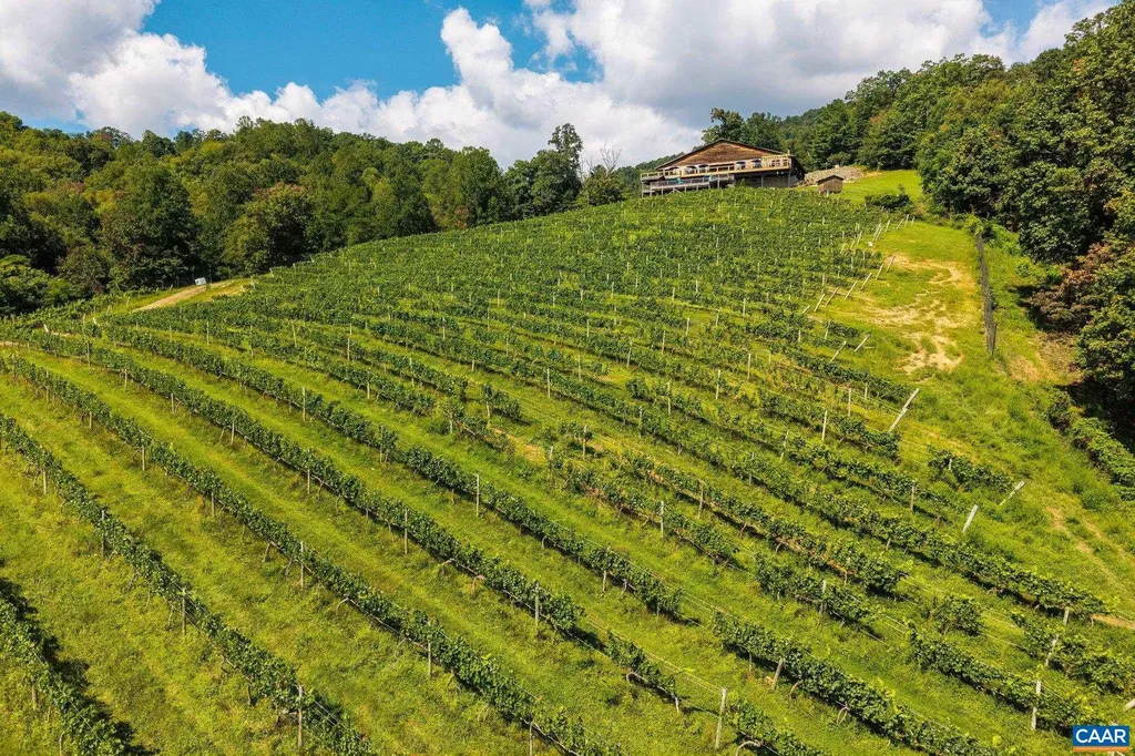 1376A Wyatt Mountain Road Dyke VA 22935