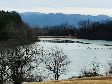 1.74 Ac Massanetta Springs Road Rockingham VA 22801