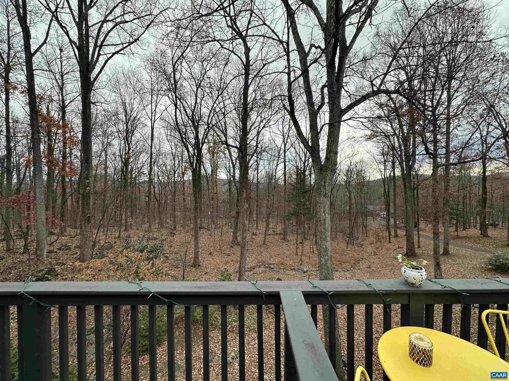 423 Foothills Drive Nellysford VA 22958