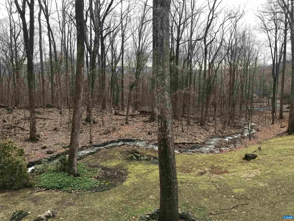 423 Foothills Drive Nellysford VA 22958