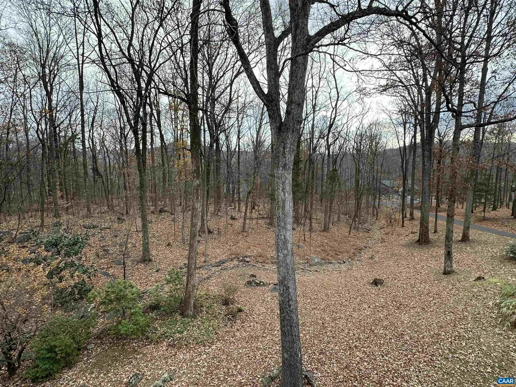 423 Foothills Drive Nellysford VA 22958