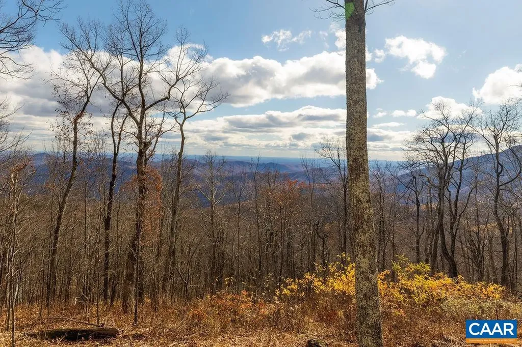 293 White Oak Drive Wintergreen Resort VA 22967