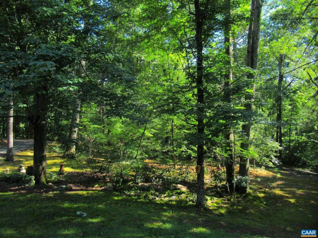 298 Courthouse Mountain Lane Madison VA 22727