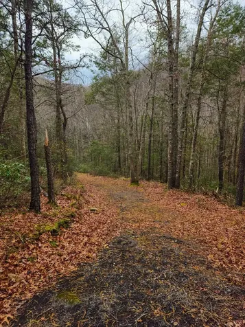 3763 Potomac River Road Monterey VA 24465