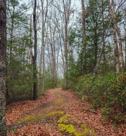 3763 Potomac River Road Monterey VA 24465