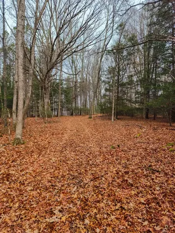 3763 Potomac River Road Monterey VA 24465