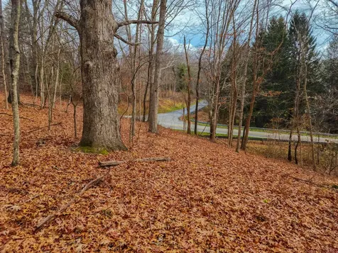 3763 Potomac River Road Monterey VA 24465