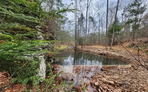 3763 Potomac River Road Monterey VA 24465