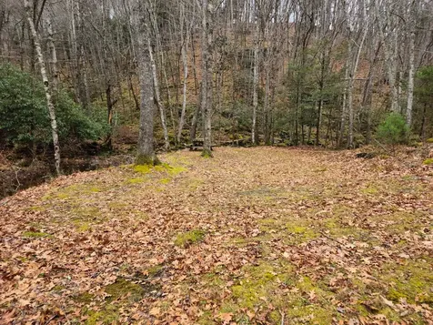 3763 Potomac River Road Monterey VA 24465