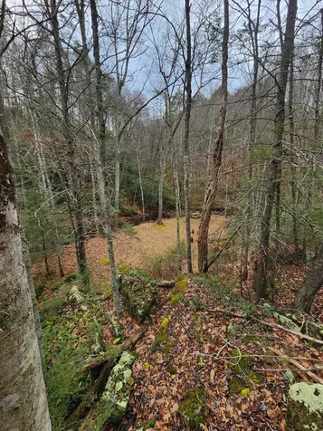 3763 Potomac River Road Monterey VA 24465