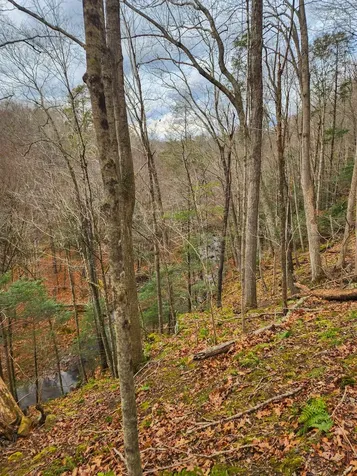 3763 Potomac River Road Monterey VA 24465