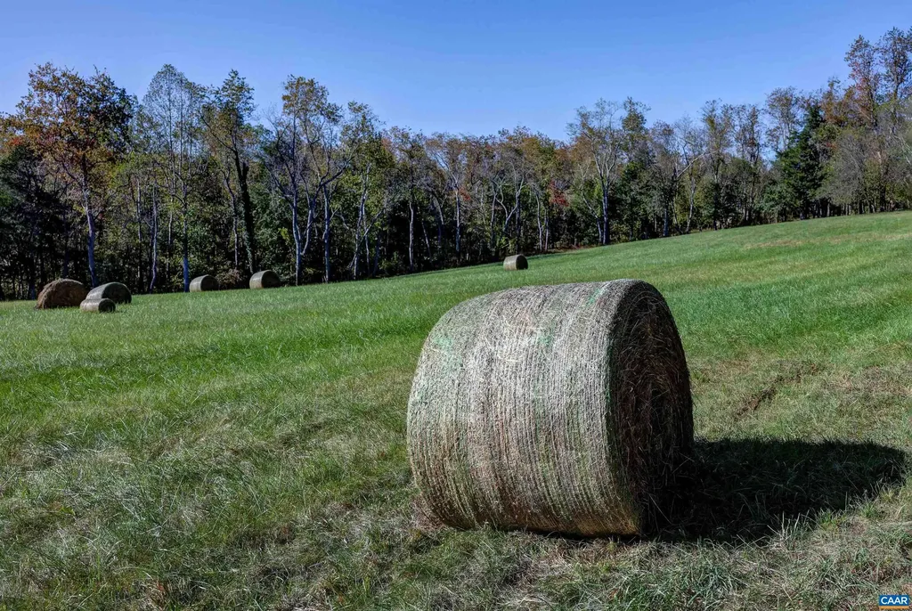 4710 Dickerson Road Charlottesville VA 22911