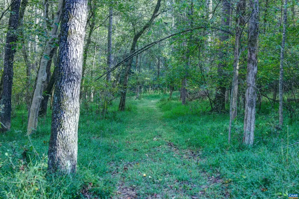 4710 Dickerson Road Charlottesville VA 22911