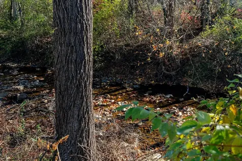 410 Rockingham Street E Elkton VA 22827