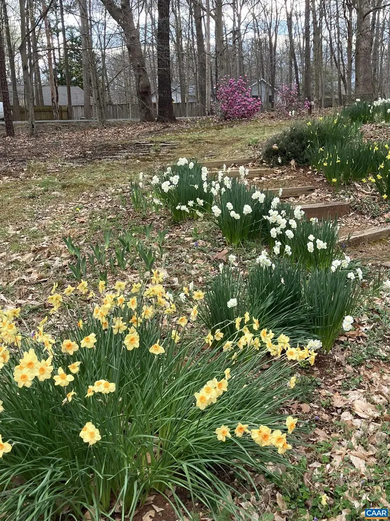 48 Jennings Drive Palmyra VA 22963