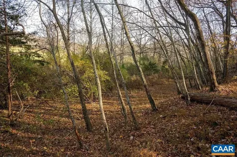 Tbd Red Hill Road Charlottesville VA 22903