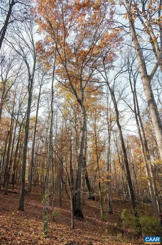 Tbd Red Hill Road Charlottesville VA 22903