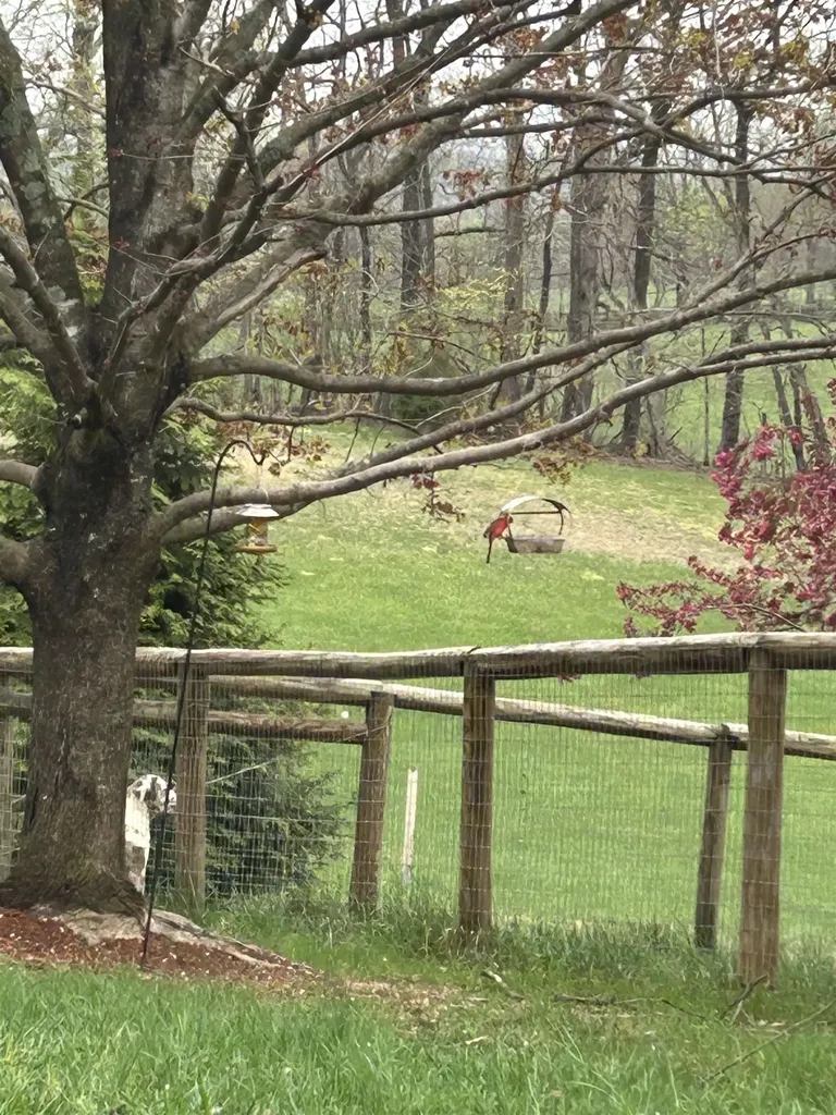 141 Lori Lane Churchville VA 24421