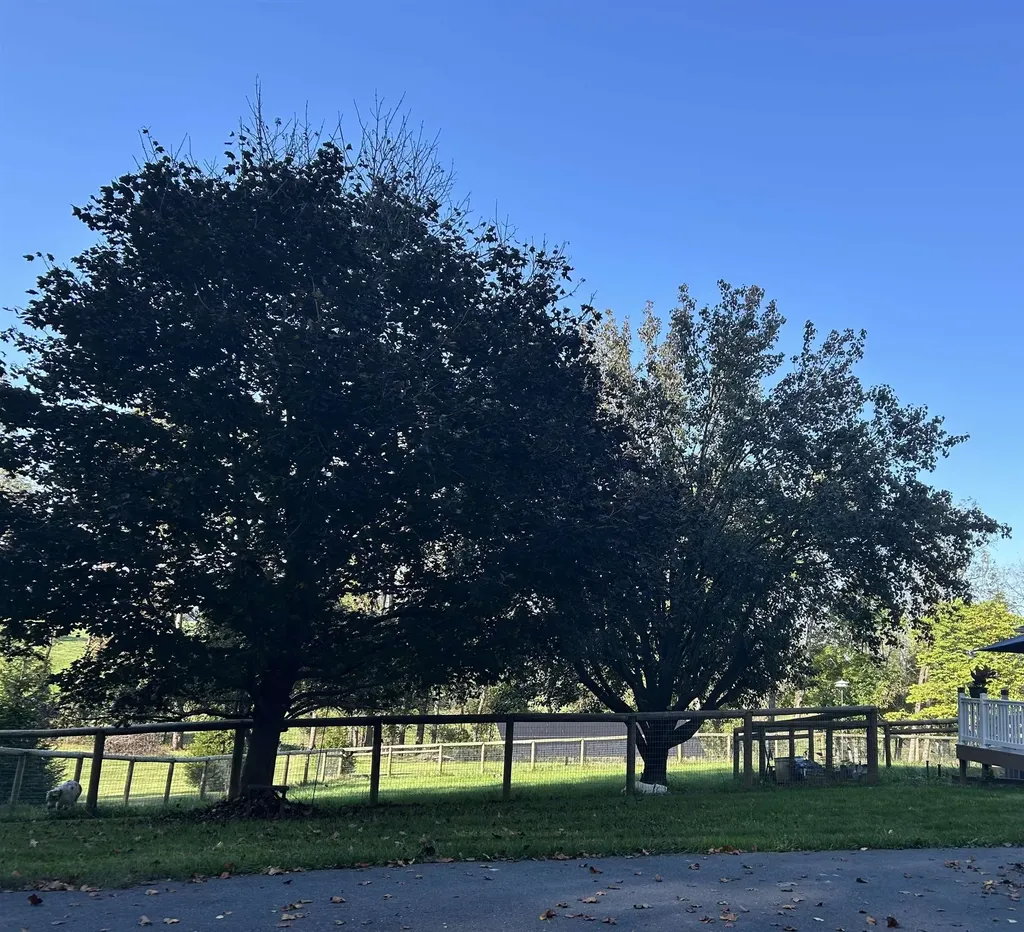 141 Lori Lane Churchville VA 24421