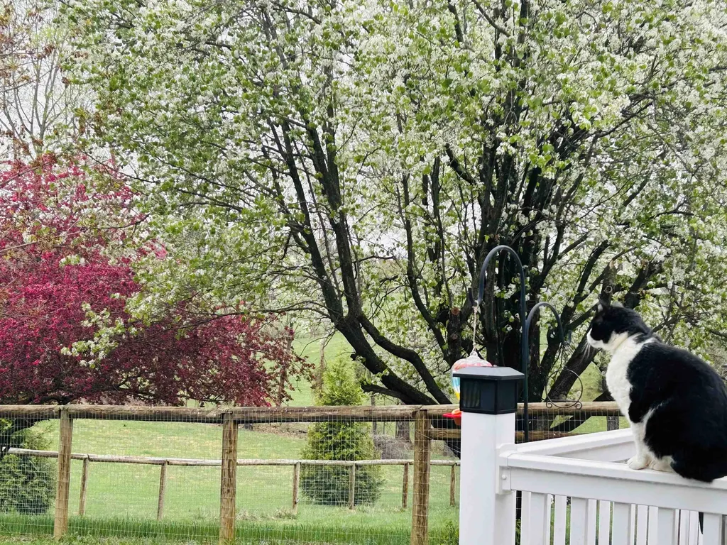 141 Lori Lane Churchville VA 24421