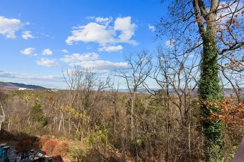 246 Jessamine Place Mcgaheysville VA 22840